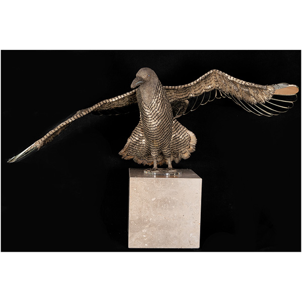 "Góeland" Espectacular Águila a Tamaño real en cristales de Murano creada para la Maison Hermés, años 30, pieza única.