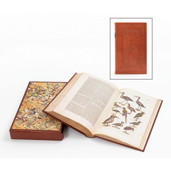 Facsímil Historiae Naturalis de Avibus de Johannes Johnstonus cuyo orginal pertenece a colección privada