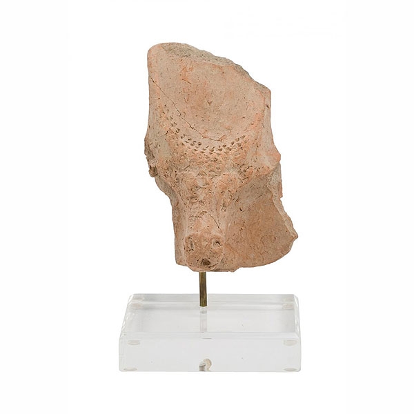 Cabeza de toro Babilonia-Mesopotamia 2000-1600 a.C. 