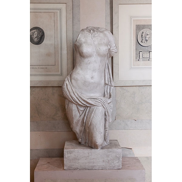 Torso clásico de escayola, S.XIX