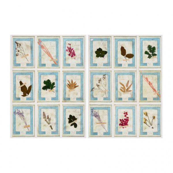 Pareja de antiguos herbarios italianos de nueve celdas con diferentes tipos de hojas y flores, ppios. del s.XX.
