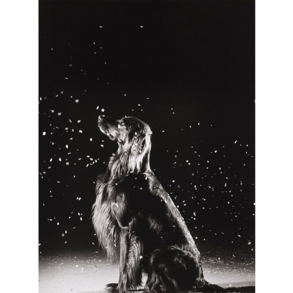 Eva Lootz. "Se avecina una tormenta de nieve (1994)". Fotografía Firmada 