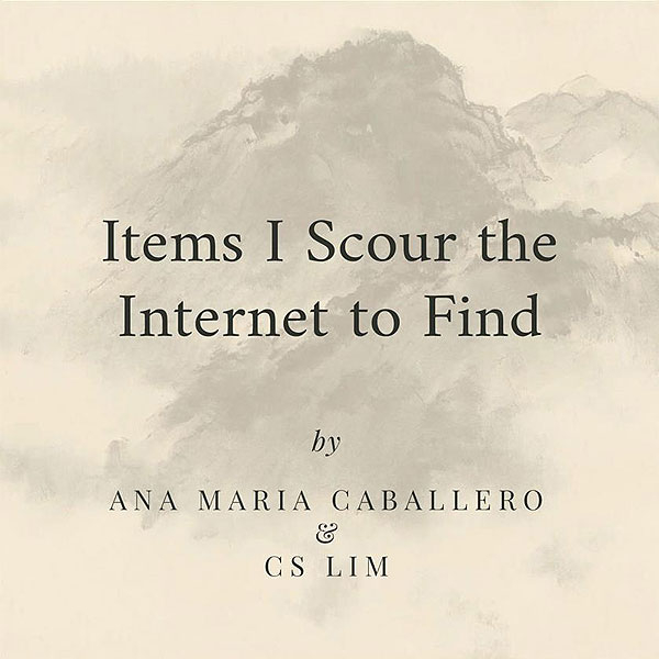 Ana Caballero & CS Lim.  "Items I Scour the Internet to Find". Video FHD - NFT