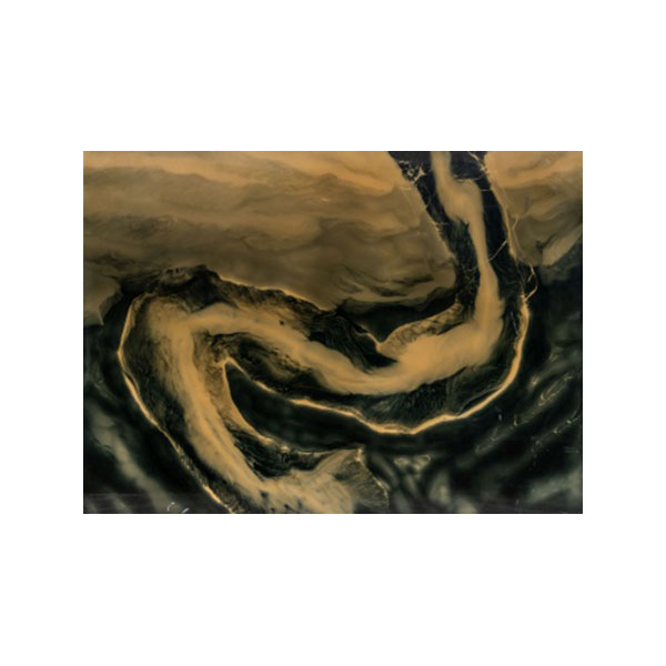 ANDONI EUBA FUENTES   (Bilbao, Vizcaya 1962)  "Internegativo Indigo "  Firmado: A. Euba  Óleo / Resina / Madera  