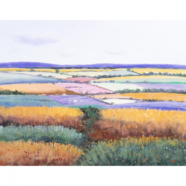 Juan Casellas (Málaga, 1957)  Paisaje con campos.  Óleo sobre tela. Firmado.