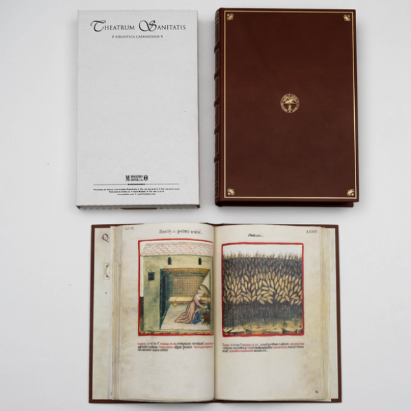Theatrum Sanitatis Biblioteca Casanatense, Roma.  Ejemplar 49/987. Certificacion notarial 26 de 1998.