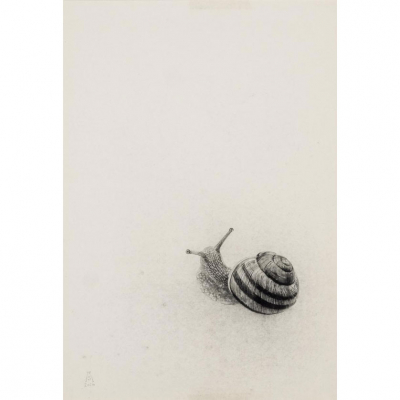 Marta de la Sota. &quot;Caracol (2016)&quot;. Dibujo sobre papel. Firmado y fechado 