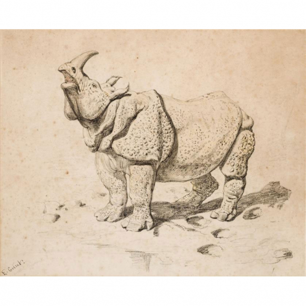 Ernest Henri Griset. "Asiatics rhinoceros". Dibujo a a l&aacute;piz sobre papel. Firmado 