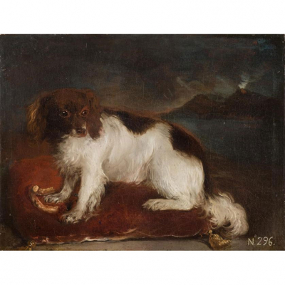 Esc. Española S. XVII-XVIII, atribuida a Diego Velázquez. &quot;Perro sobre una almohada&quot;.