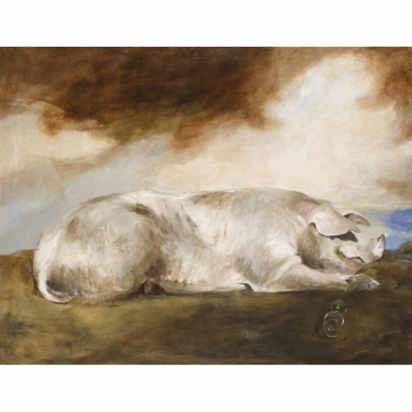 Miguel Macaya.  "El cerdo". Óleo sobre lienzo. Firmado en el ángulo inferior izquierdo y al dorso en el bastidor.