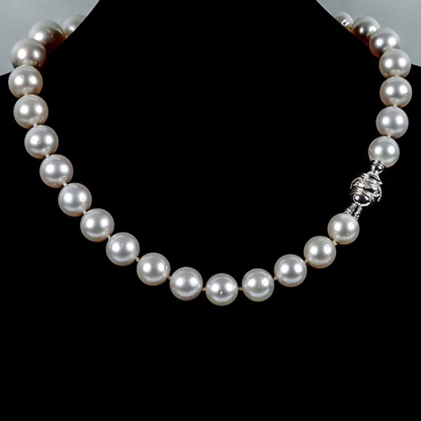 Excepcional collar-chocker de 31 grandes perlas australianas, de suave oriente y calidad gema con sólido cierre en bola de oro blanco 18 K 