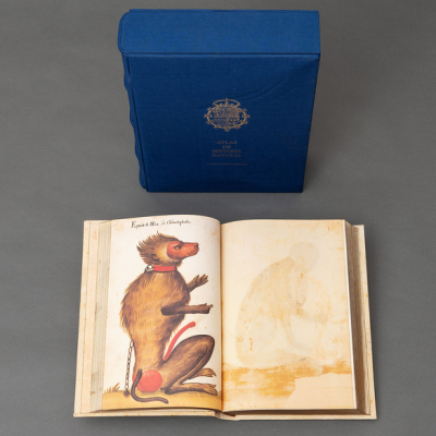 Facsímil Atlas de Historia Natural de Jacobus Honoratus Pomar. Edición por Vicent García Editores S. A Ejemplar 490/3000