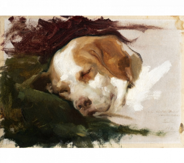 JOAQUÍN SOROLLA Y BASTIDA (Valencia, 1863 - Madrid, 1923)  Cabeza de perro   Óleo sobre lienzo 