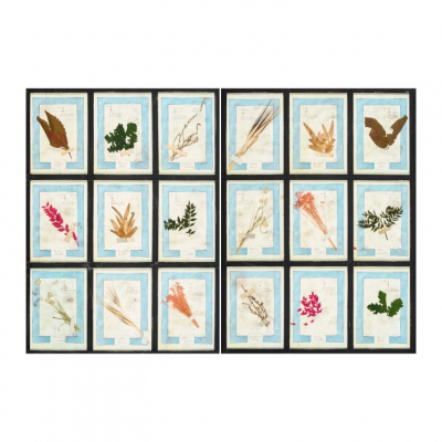 Pareja de antiguos herbarios italianos de nueve celdas con diferentes tipos de hojas y flores, ppios. del s.XX.