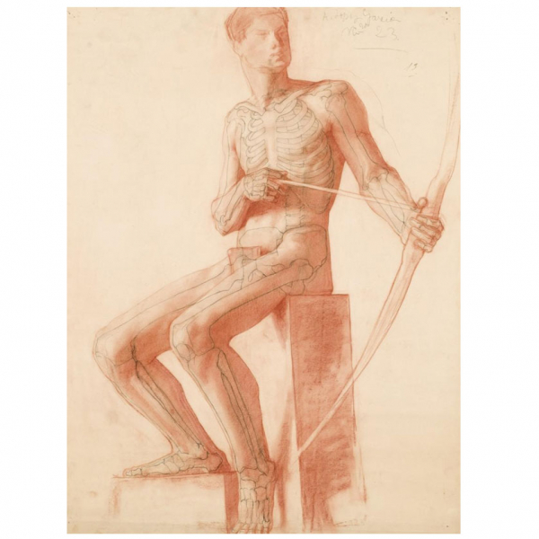 Antonio López García. "Estudio de anatomía". Dibujo sobre papel. Firmado  