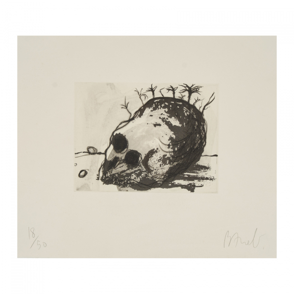 Miquel Barceló (Felanitx, Mallorca ,1957)  Cráneo.  Grabado al aguafuerte sobre papel. Firmado y numerado 18/50 a lápiz.