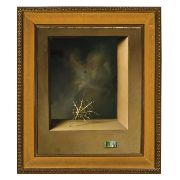 Claudio Bravo.   "Bodegón con cardo (1962)". 