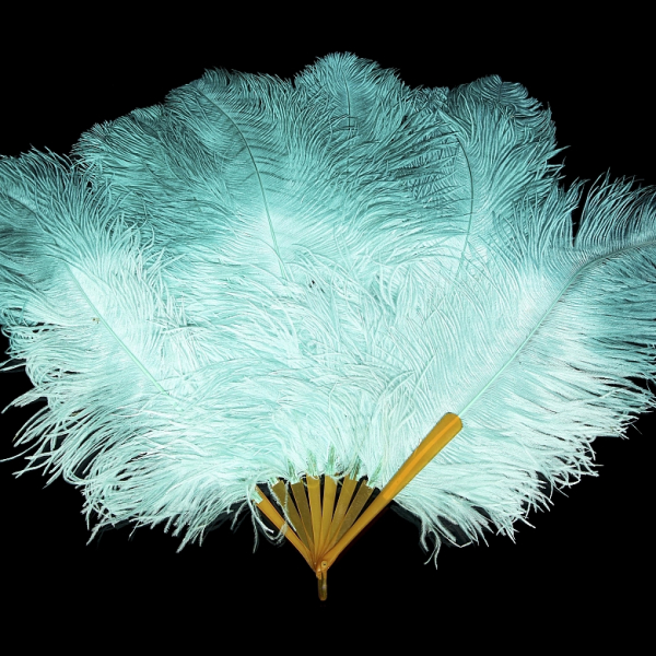 Abanico de plumas celestes, s. XX. 