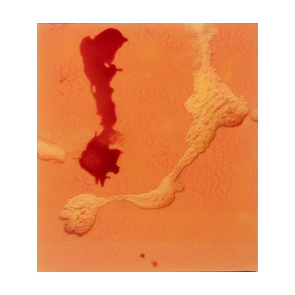 DARÍO  URZAY   (Bilbao 1958)  "Manchas "  Firmado: Dario Urzay 2002 (al dorso)  Técnica mixta / Tabla